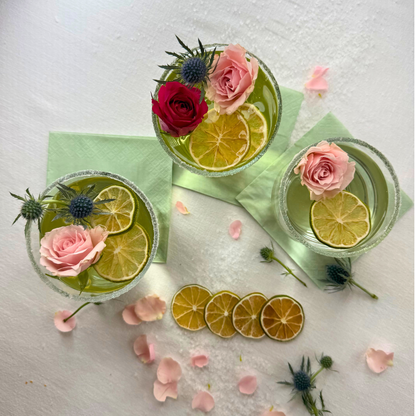 Dehydrated Lime Slices | Dried Limes for Bar & Decorative Styling