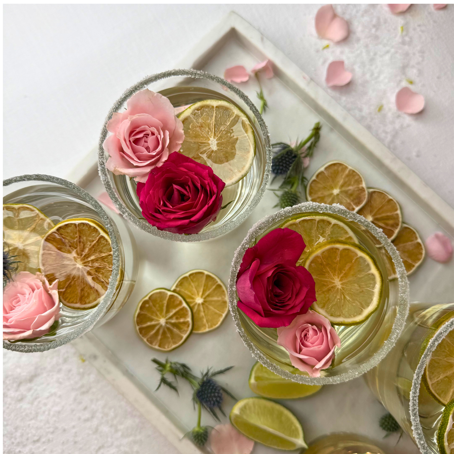 Dehydrated Lime Slices | Dried Limes for Bar & Decorative Styling