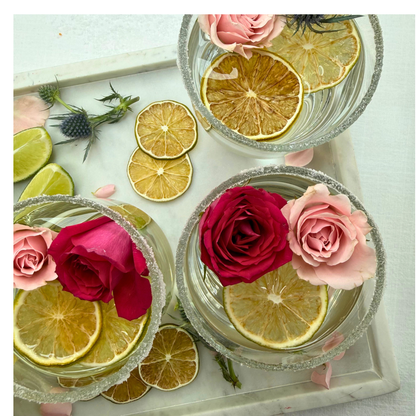 Dehydrated Lime Slices | Dried Limes for Bar & Decorative Styling